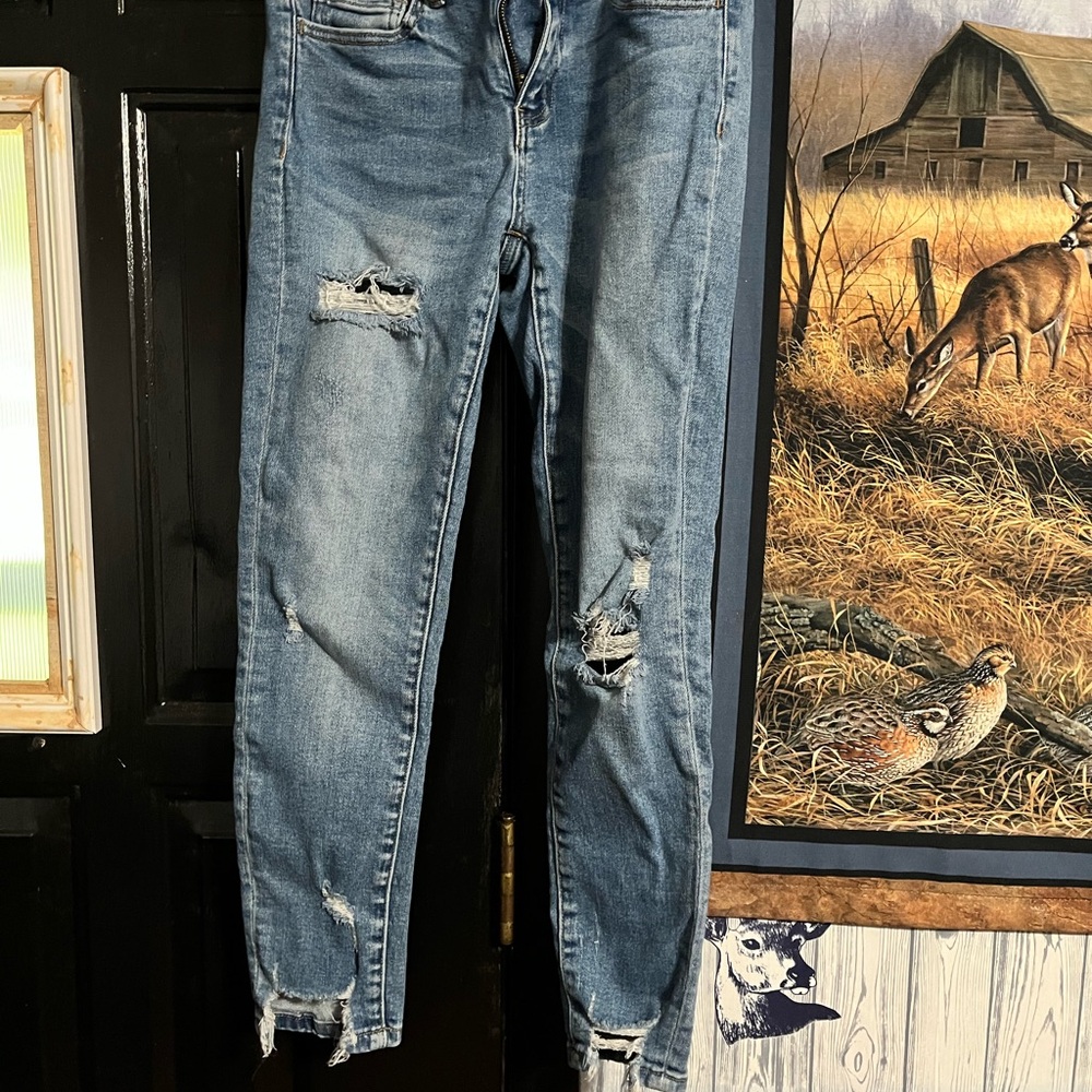 Flying Monkey Blue Ankle Cropped Jeans Distressed